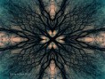 /album/photogallery/oneself2-jpg/
